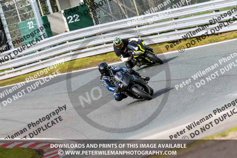 Oulton Park 21st March 2020;PJ Motorsport Photography 2020;anglesey;brands hatch;cadwell park;croft;donington park;enduro digital images;event digital images;eventdigitalimages;mallory;no limits;oulton park;peter wileman photography;racing digital images;silverstone;snetterton;trackday digital images;trackday photos;vmcc banbury run;welsh 2 day enduro